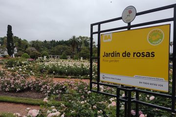 IMG_20211031_102358254